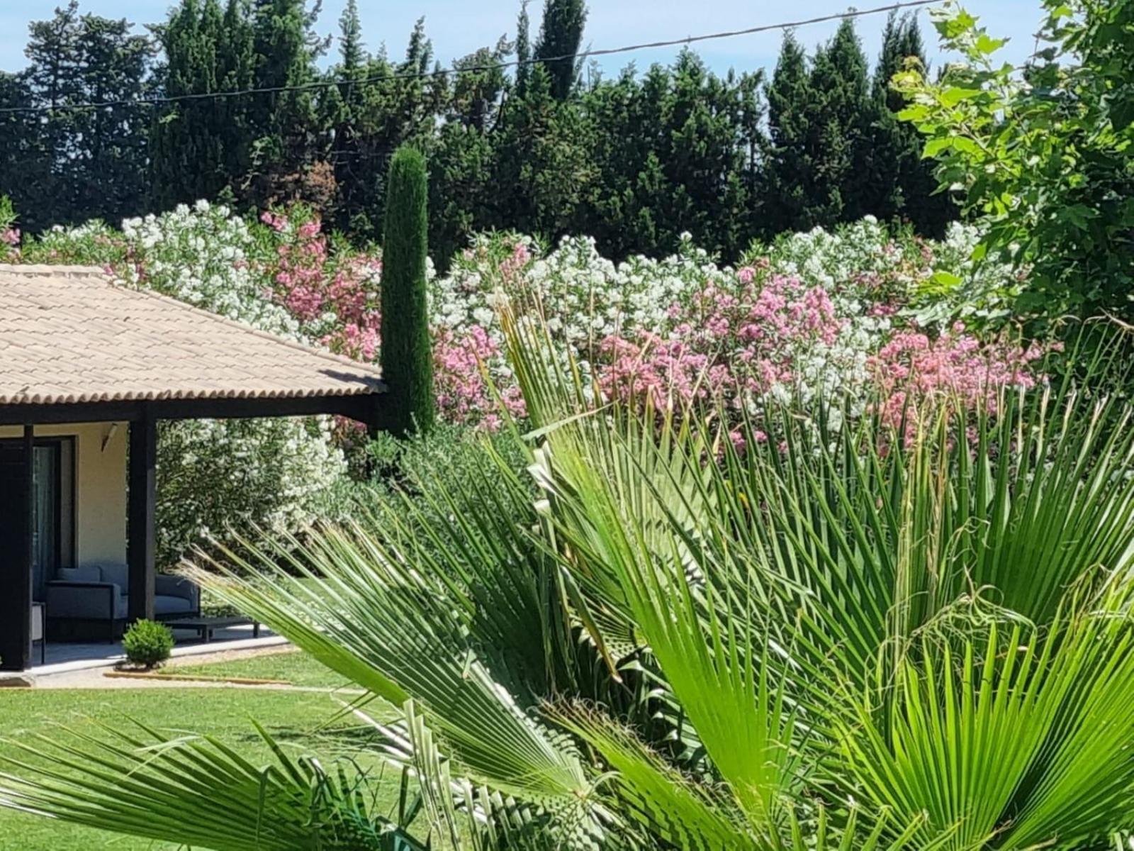 Mas Paloma Bed & Breakfast Rognonas Екстериор снимка